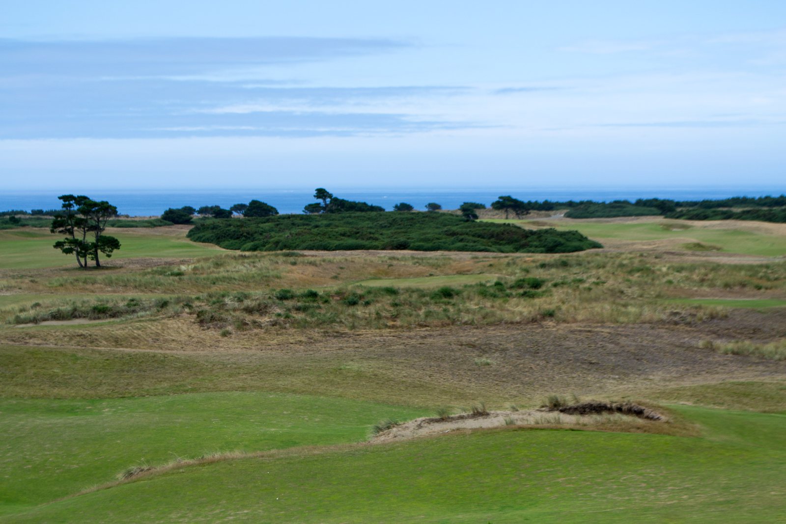Links fairways and gorse-covered dunes at Bandon Dunes running down to the Pacific Ocean in Bandon, Oregon