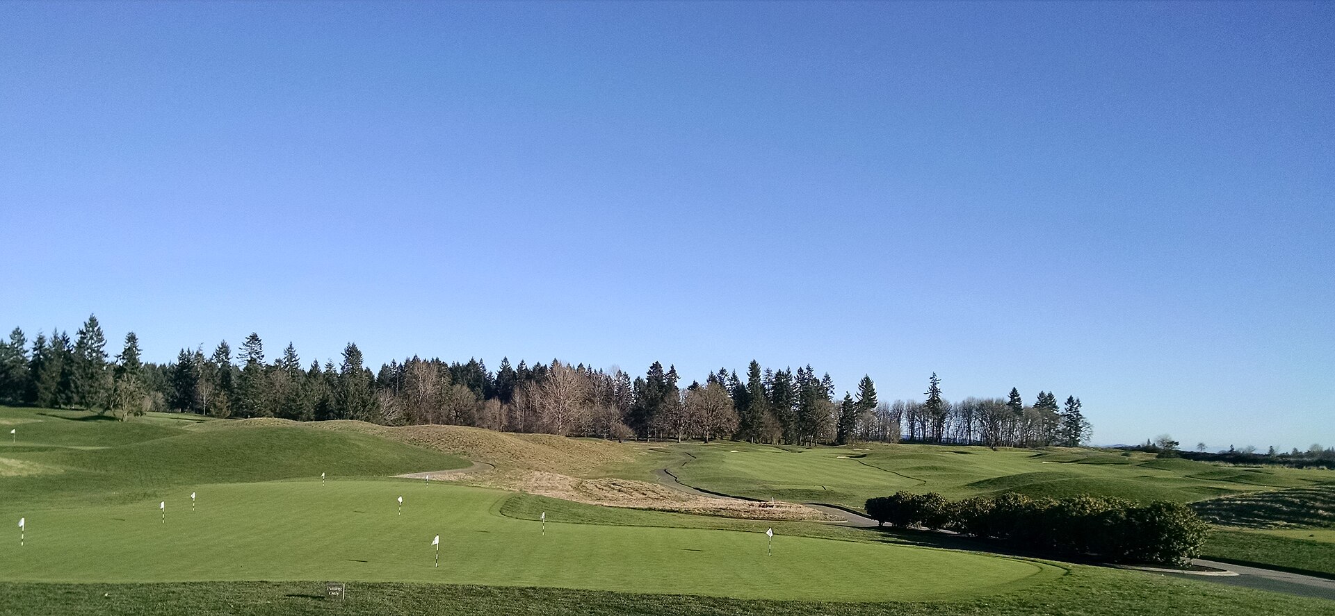 The putting green and rolling fairways of the Ghost Creek course at Pumpkin Ridge under a clear sky, fir trees behind, in North Plains, Oregon